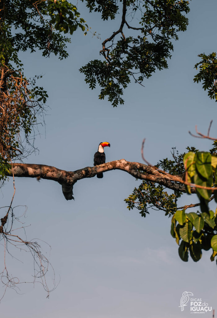 Parque Nacional do Iguaçu, Dicas de Foz