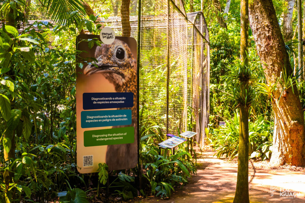 Parque das Aves: Como é o passeio, dicas e informações