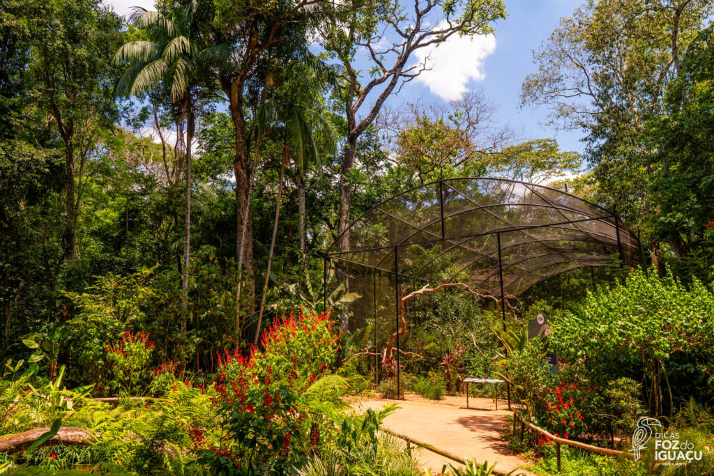 Parque das Aves: Como é o passeio, dicas e informações