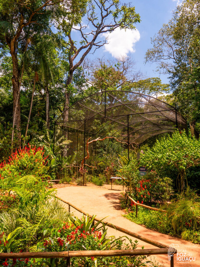 Parque das Aves: Como é o passeio, dicas e informações