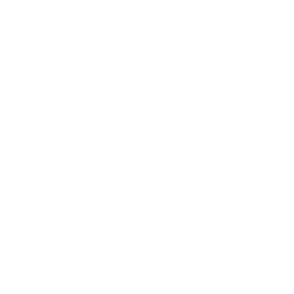 Um Viajante