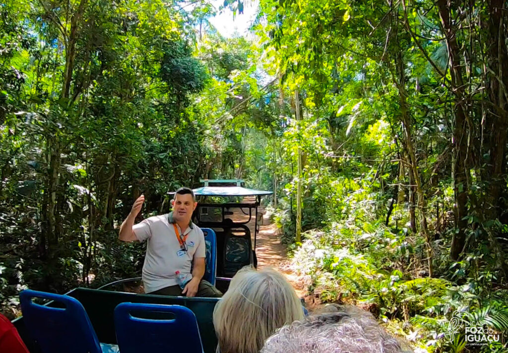 Macuco Safari Foz do Iguaçu: como é o passeio, dicas e desconto!