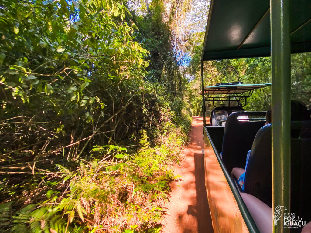 Macuco Safari Foz do Iguaçu: como é o passeio, dicas e desconto!